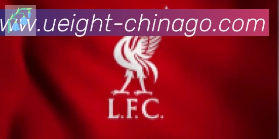 U8国际合作伙伴