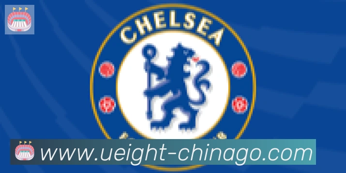 U8国际合作伙伴