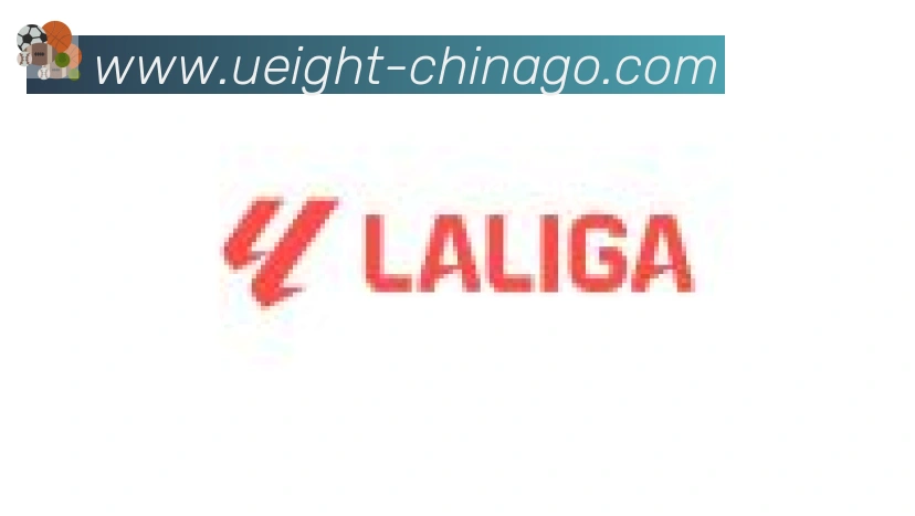 U8国际合作伙伴