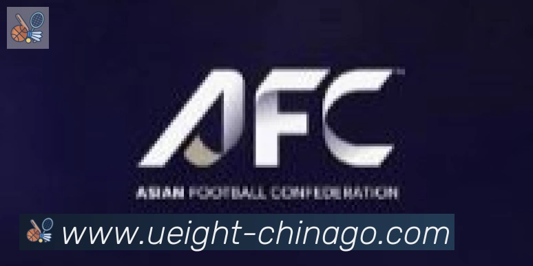 U8国际合作伙伴