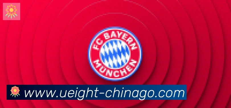 U8国际合作伙伴